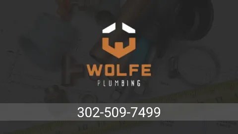 Wolfe Plumbing LLC in Wilmington