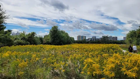 Observatory Hill photo 1