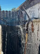 Craig & Sons Termite & Pest Control, Inc photo 4