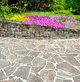 Infinite Landscaping photo 7