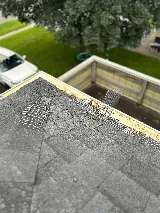 Pestend Pest Control Vaughan photo 8