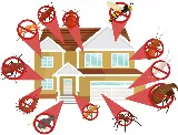 Eco Pros Pest Solutions photo 7
