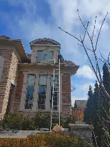 Maximum Pest Control Services photo 3