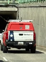 American Pest photo 5