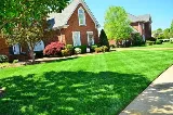 Landscapers Yonkers photo 4