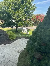 My Pest Pros photo 5