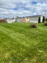 Enviro Masters Lawn Care photo 6