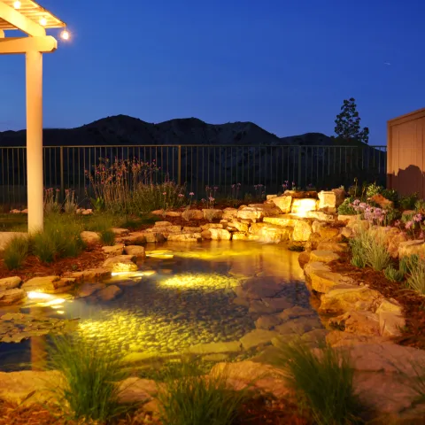 Flow Landscape/Flow Aquascapes in Corona