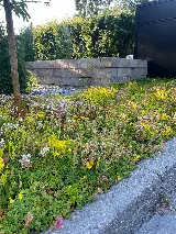 Mountainside Landscapes Ltd. photo 10