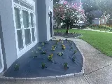 Verified Outdoor Services photo 4