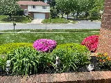 Landscape By Today photo 5