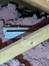 Natural Pest Control photo 5