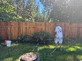 Expert Painting photo 8