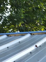 Supreme Roof Maintenance & Repair LLC photo 5