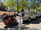 The Plant Guys photo 5