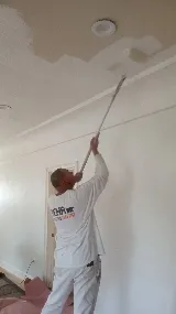 Handyman Professional House Painter