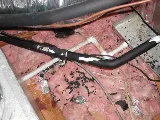 Alley Cat - Rodent Exclusion Company photo 8