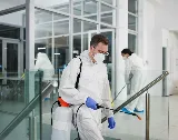 Ktown Pest Solutions photo 4