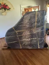 Everlasting Moving photo 7