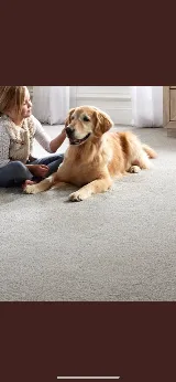 Best Flooring photo 3