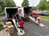 Cardinal Moving photo 8