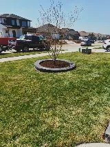 Mill Creek Landscaping photo 6