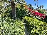 Pacific Landscape Services photo 5