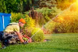 Landscaping Experts photo 2