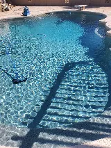 Protege Pool Services Glendale Location photo 6