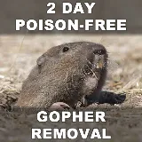 Gopher Stop