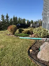 Limber Environmental Ltd. photo 8