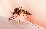 Hydrex Pest Control & Termite Co photo 5