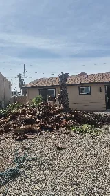 Pro Natural Landscape LLC photo 5