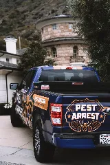 Pest Arrest photo 8