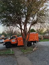 Smith's Lawn & Tree Service photo 5