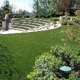 DM Landscape and Maintenance photo 5