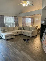 That 1 Painter Dallas photo 8