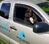 Pyramid Pest Control LLC photo 5