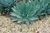 Dave Suda Landscape photo 7