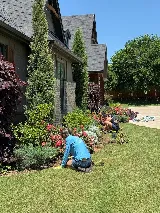 Sunshine's Garden Design, LLC photo 6