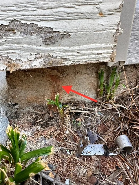 A+ Termite & Pest Control in Mooresville