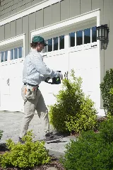 Pine Pest Control photo 4