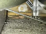 Extermination Complete Bugs Longueuil photo 7