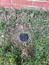 Pyramid Pest Control LLC photo 8