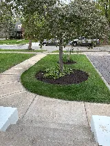 All Seasons Landscaping photo 5