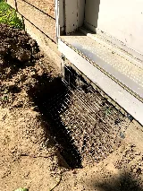 Speedy Pest Control photo 4