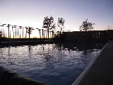 Professional Pool & Spa photo 2