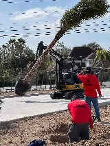 BARRIOS Landscaping and Irrigation
