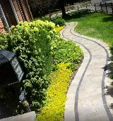 Dario Garcia Landscaping LLC photo 8