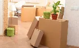 Rainforest Moving and Storage photo 5